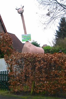 Frische(s) Grün(e) für Willi und Niedersachsen!